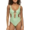 Josie Plunge One Piece Swimsuit
